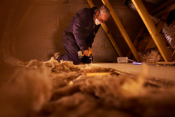 Best Eco-Friendly Insulation in Bradfordville, FL
