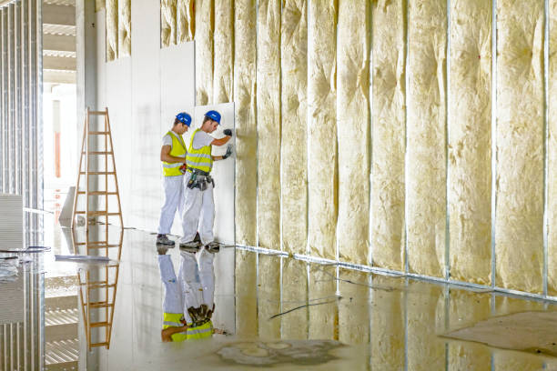 Types of Insulation We Offer in Bradfordville, FL